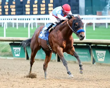 Barnes top individual horse in second pool of Kentucky Derby Future Wager
