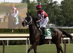 Grade 1 winner Fionn returns in allowance
