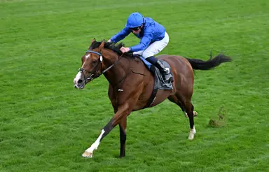 Ombudsman flips script on Delacroix in Juddmonte International