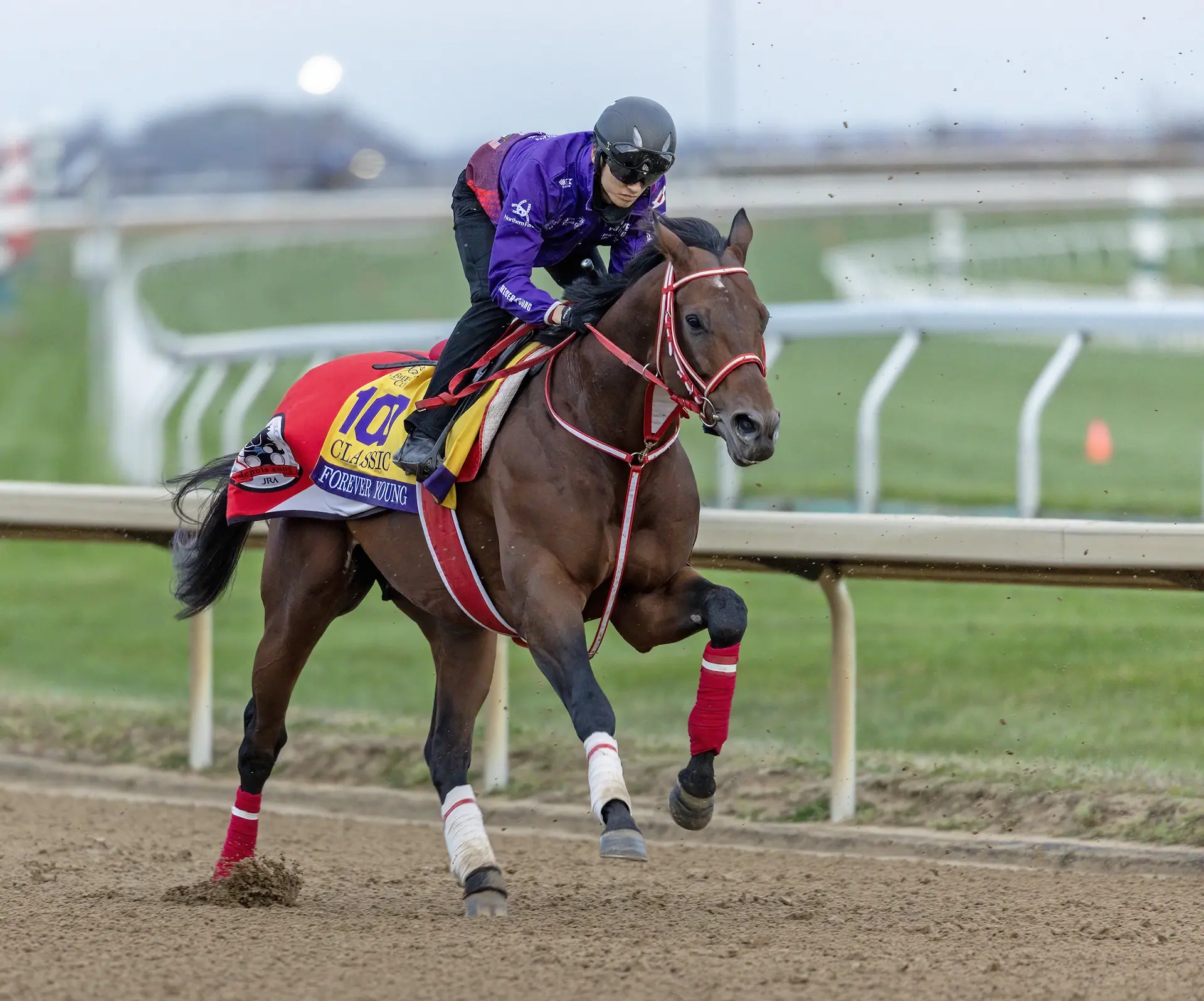 Breeders' Cup Classic: Yahagi calls Forever Young's final work ‘perfect'