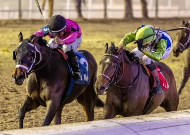 Cox bypassing Silverbulletday for Martha Washington with Hit Parade