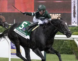 Deterministic catches Mi Bago to take Fourstardave