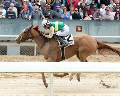 Weekend GamePlan: Picks for San Francisco Mile, Dig A Diamond, Star Shoot