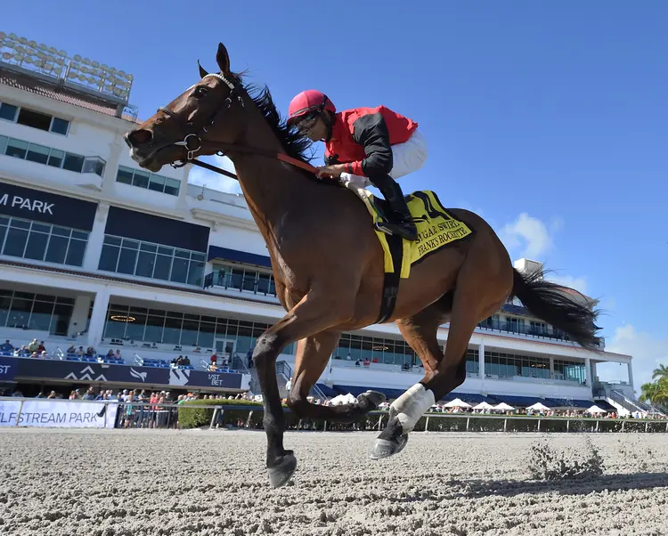 Frank's Rockette wins Sugar Swirl at GP Dec 31 2022