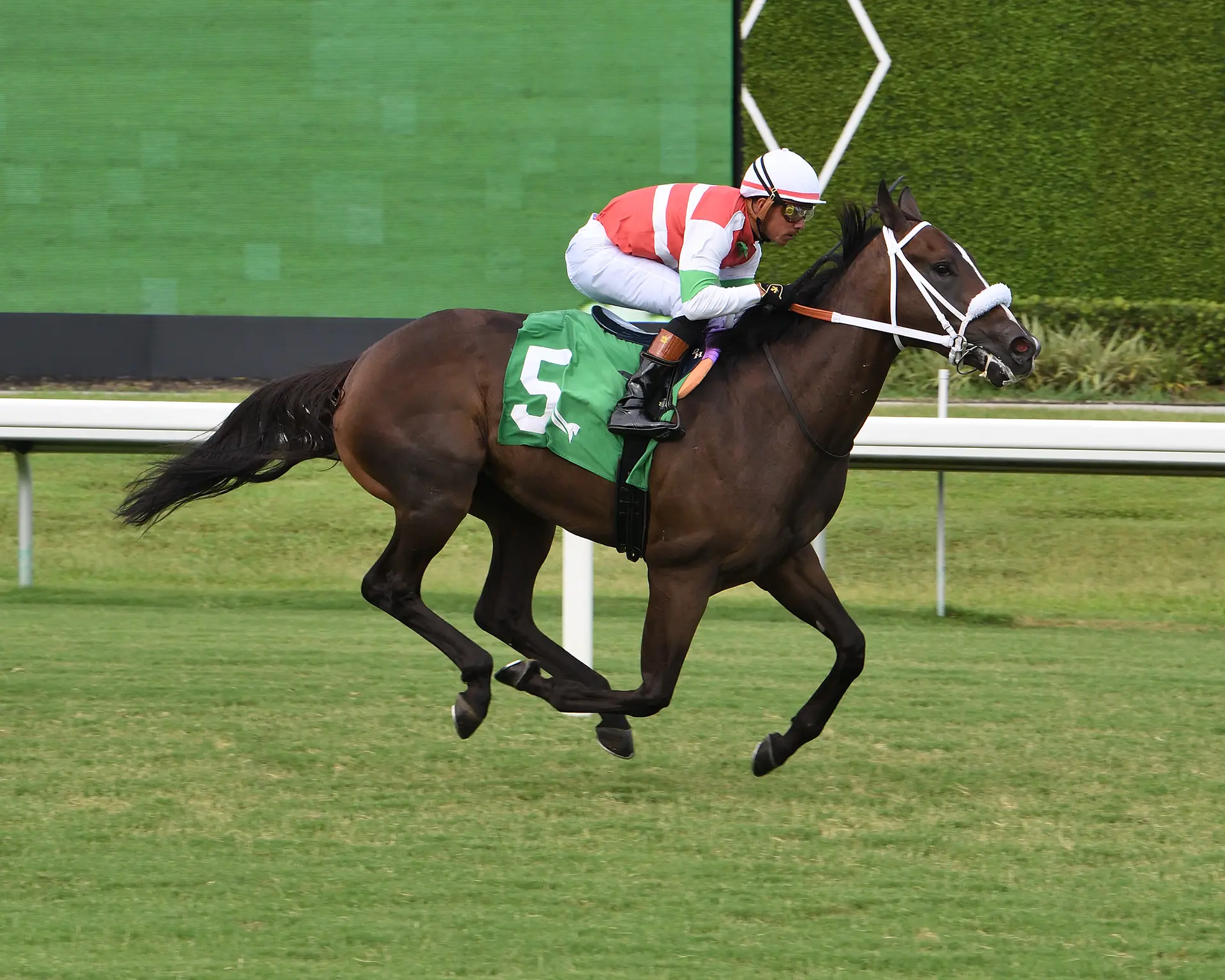 Pool projected at $750,000 for Sunday's mandatory-payout Rainbow 6