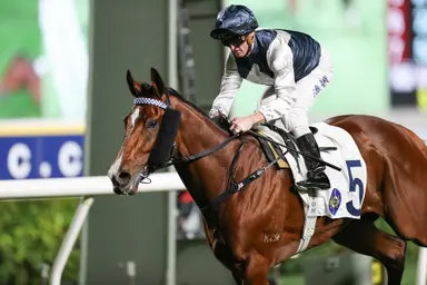 Milestone for Mark Newnham as Invincible Ibis dazzles ahead of Four-Year-Old Classic Series
