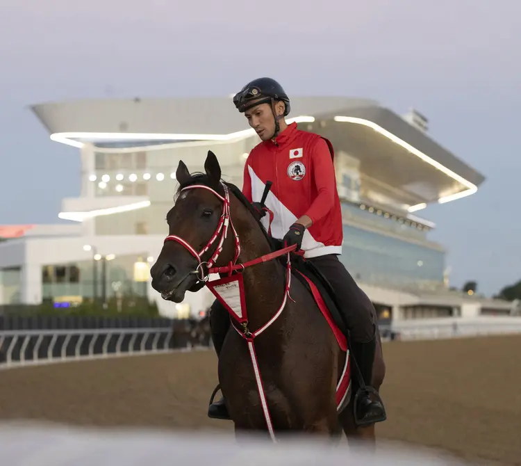 Forever Young04.Belmont Park scenic.09-12-26.SR