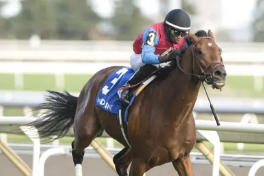 Fire and Wine leads all the way in Breeders' Stakes upset