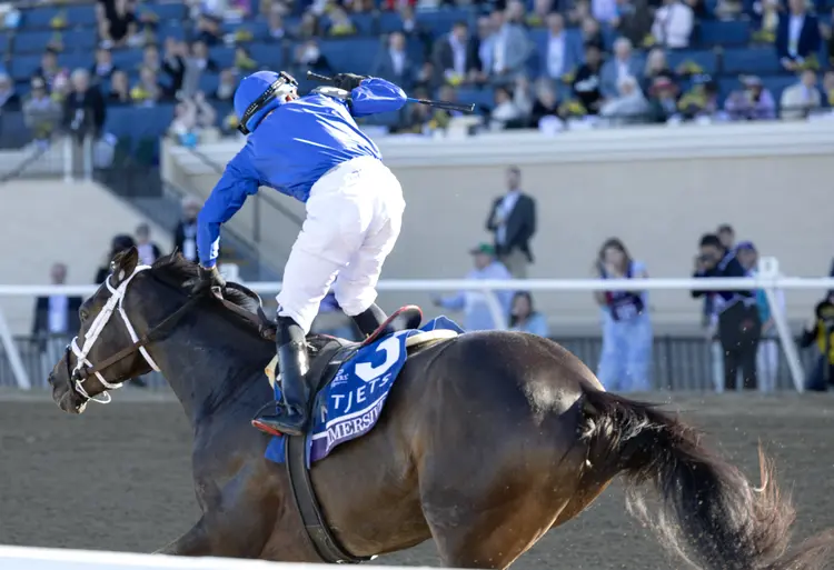 Immersive wins BC Juvenile Fillies at DMR Nov 1 2024
