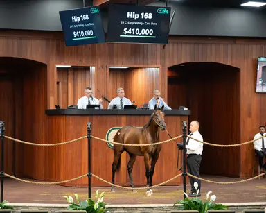 OBS June sale: $410,000 Early Voting colt tops first session
