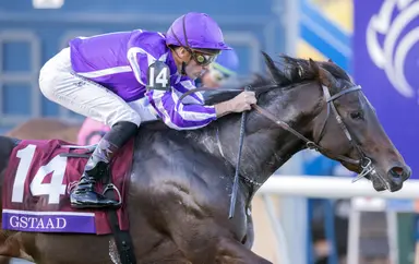 Breeders' Cup Juvenile Turf winner Gstaad big favorite in Irish 2000 Guineas