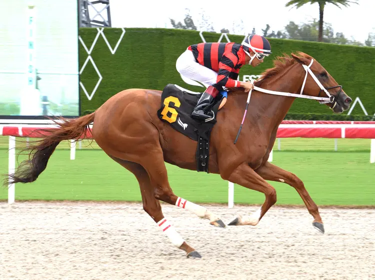 Rezasrolex wins at GP Oct 11 2025.25