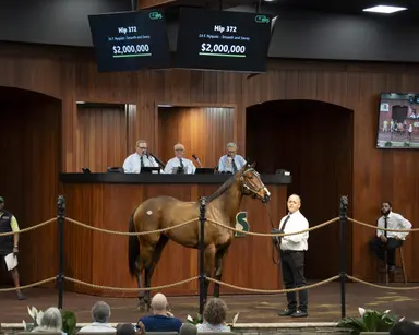 Nyquist filly sold for $2M bolsters record-setting OBS March sale