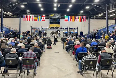 Harness: Roster now available for 88th Standardbred Horse Sale 