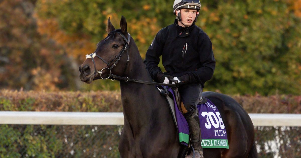 Breeders' Cup Saturday: Once again, internationals could take away home-field advantage