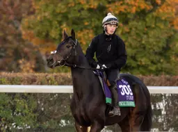 Breeders' Cup Saturday: Once again, internationals could take away home-field advantage