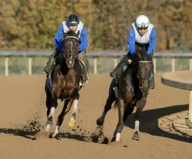 Breeders' Cup Clocker: Sovereignty joined by Telescopic, T Kraft, Listenupshance