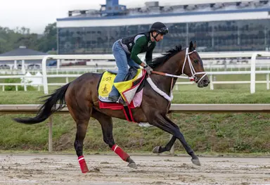 Barboza looks to break through with Majestic Lucia in Cathryn Sophia