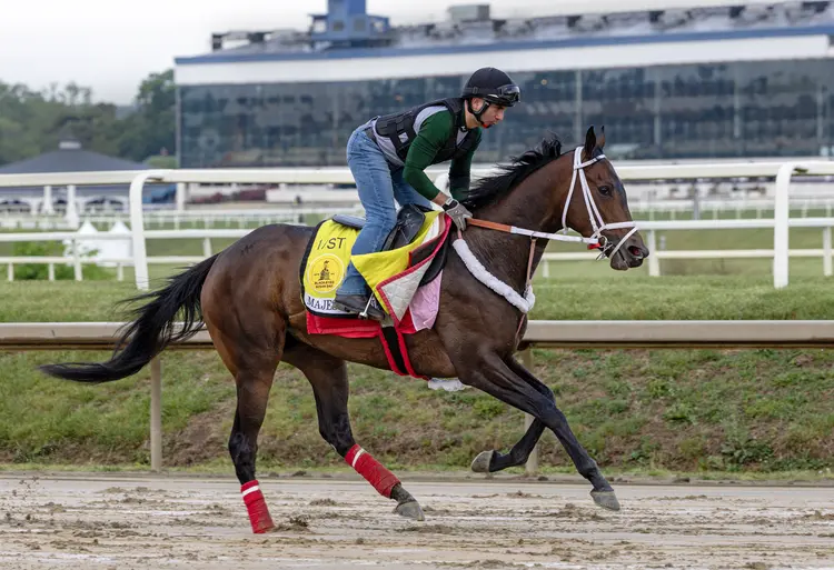 Majestic Lucia.Laurel Park scenic01.5-14-26.DRO