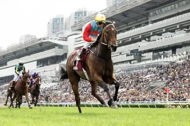 Hong Kong Season Wrap Up