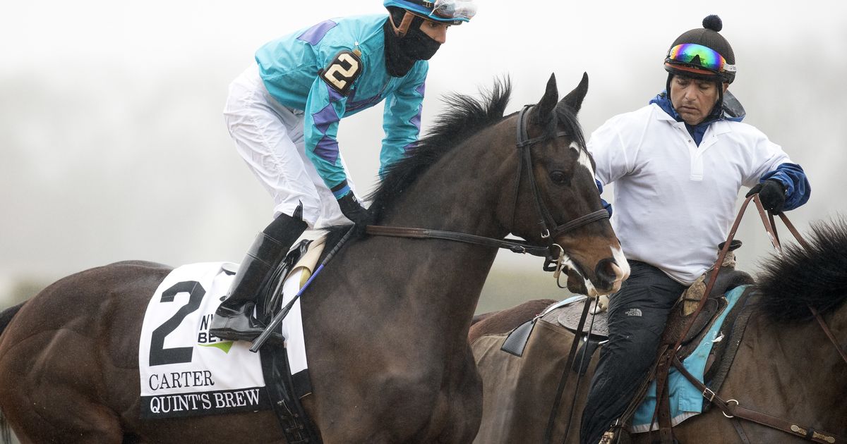 Quint's Brew gets rare home game in New Castle Handicap