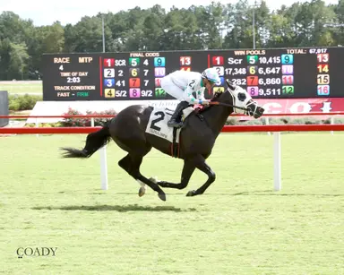 East-bound Black Volt tops strong allowance