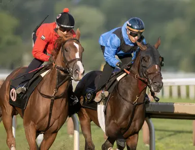 Golden Tempo has first workout at Saratoga in prep for Travers