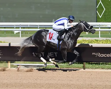 Azam finds more suitable company in Gulfstream allowance