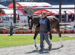 Focus remains on Chief Wallabee in reshuffled Curlin Stakes