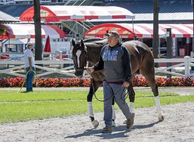 Focus remains on Chief Wallabee in reshuffled Curlin Stakes