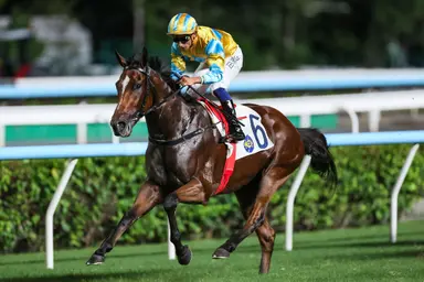 Mr Incredible showcases talent with Class 3 success as Karis Teetan fires in a treble