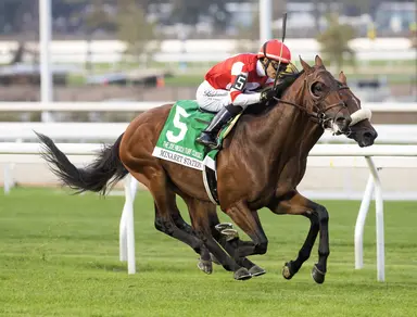 Minaret Station survives stewards’ inquiry to nab Joe Hirsch Turf Classic