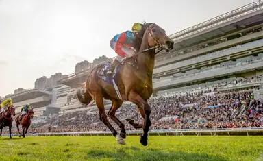 Hong Kong: Ka Ying Rising eyes 20th straight win in Chairman's Sprint Prize