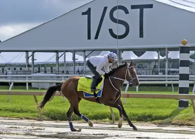 Kentucky Derby winner Mystik Dan will face eight in Preakness