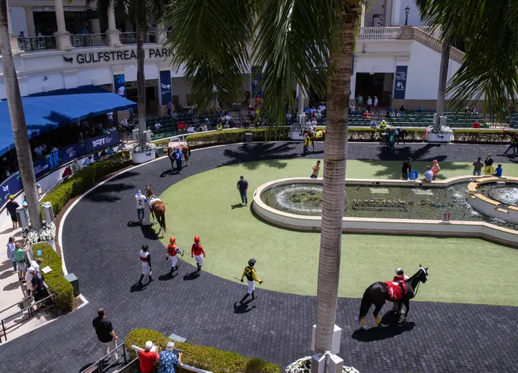 Gulfstream Park01.Scenic.3-27-26.BL_.jpg