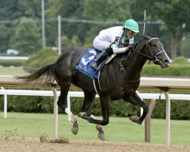 Twinkle Town to miss Hopeful 