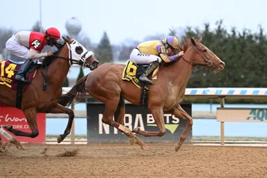 Fedupwiththefed the one to beat against familiar foes