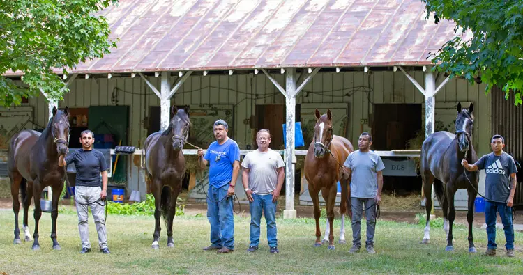 SAR July 22 2026 (from l-r) Bank On Harvey.Roseberns Dream.Dominick Schettino.Bernieandtherose.Bernietakescharge.BL