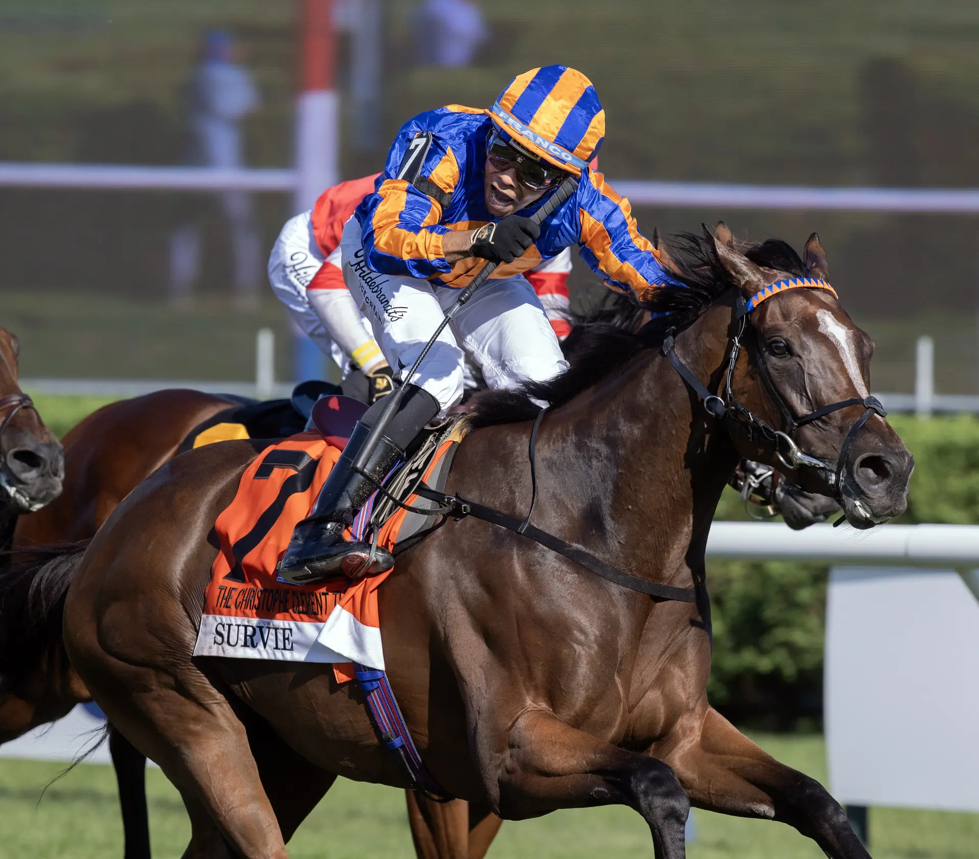 Survie's Christophe Clement win earns Breeders' Cup Turf berth