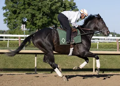 Knightsbridge gets first two-turn try in Monmouth Cup