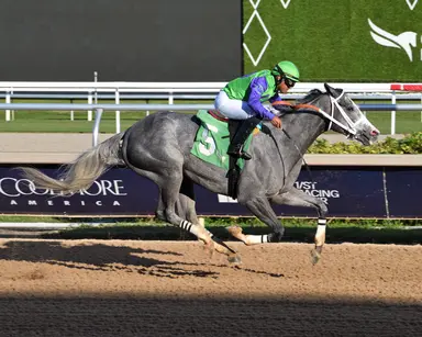 Back Em Up seeks first stakes win in Wildcat Red