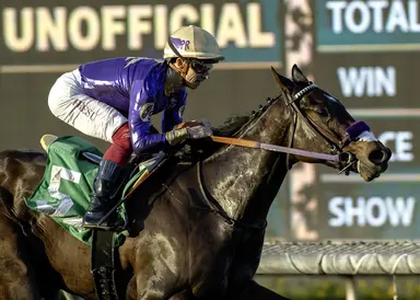 Weekend GamePlan: Picks for Senorita, William Walker, Royal Palm Juvenile Fillies