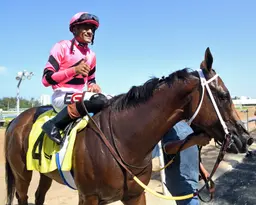 Breeders' Cup: Joseph works several of his contenders