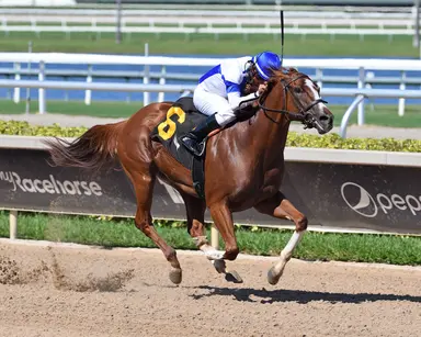 Finding Strength gets belated start to 3-year-old season