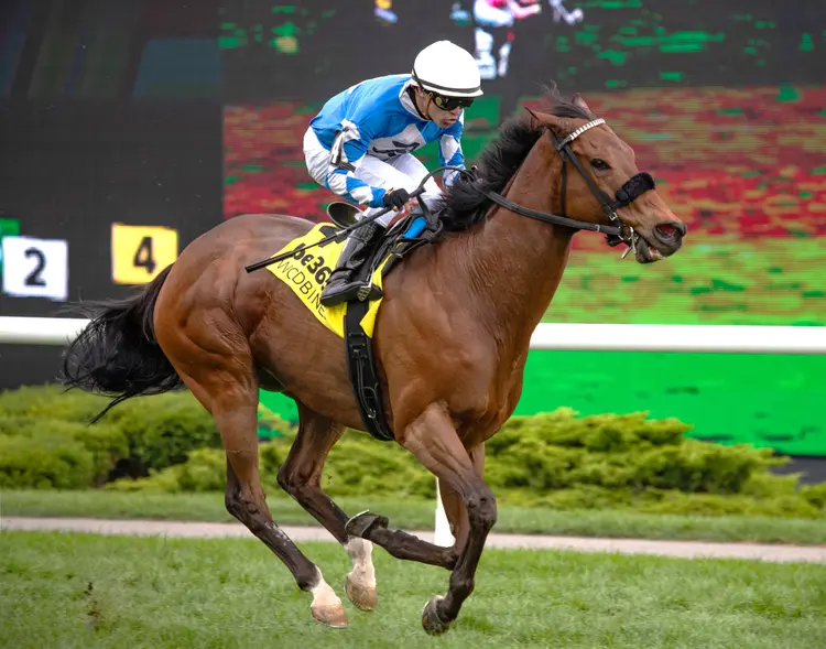 Artemus Citylimits wins Vice Regent at WO Aug 16 2026