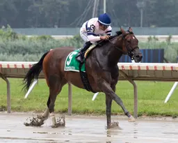 Echo Sound returns a winner with easy score in Regret
