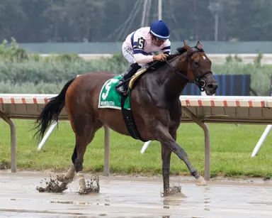 Echo Sound returns a winner with easy score in Regret