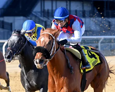 Igniter may want more distance, but he knew how to win Jimmy Winkfield