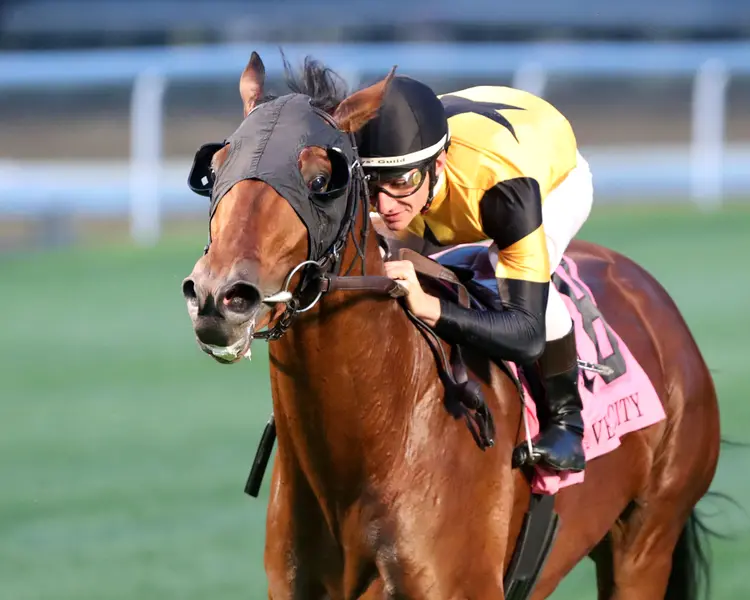 BATTLE OF NORMANDY - The River City G3 - 45th Running - 11-09-24 - R10 - Churchill Downs - Inside Finish 01 - John Gallagher.jpg