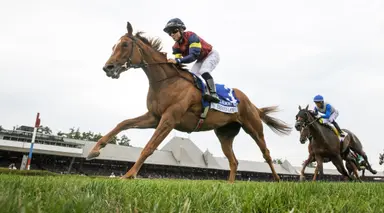 Dismissed on the board, Kensington Lane upsets Belmont Oaks